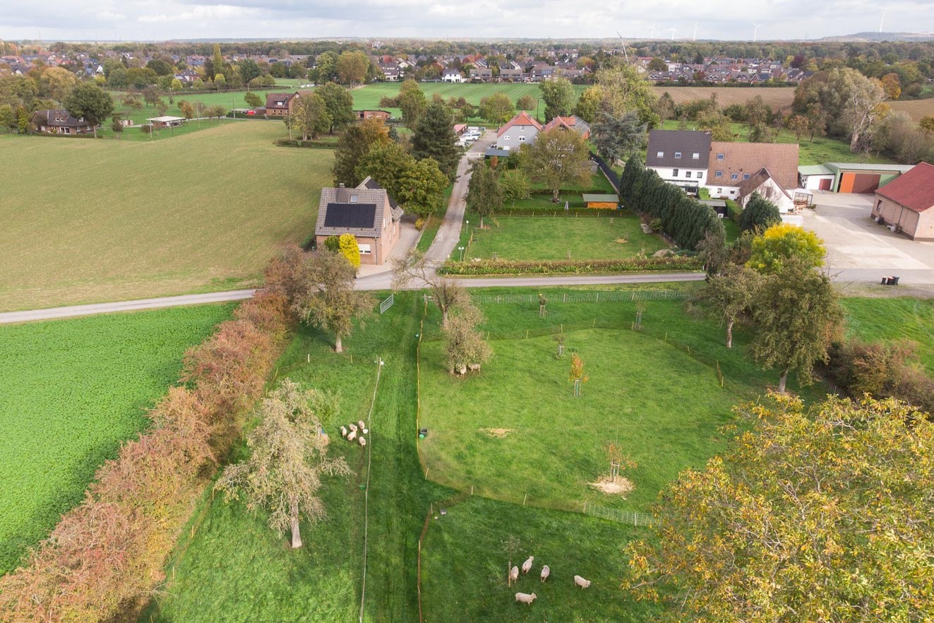 Kempkenshof mit Weiden und Southdown Schafen aus der Luft